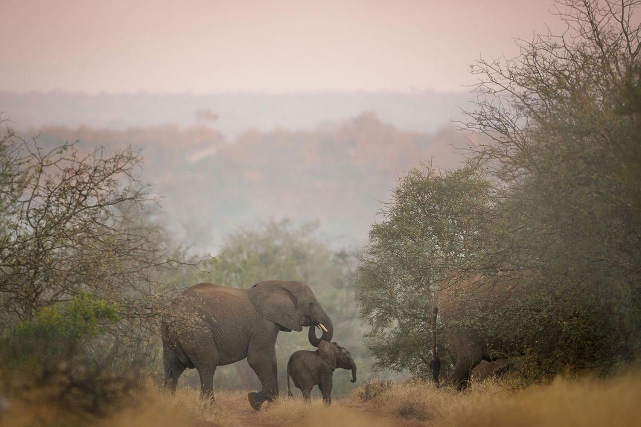 Vila Tanda Tula Safari Camp Timbavati Game Reserve Exteriér fotografie